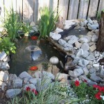 Garden Pond and Fountain