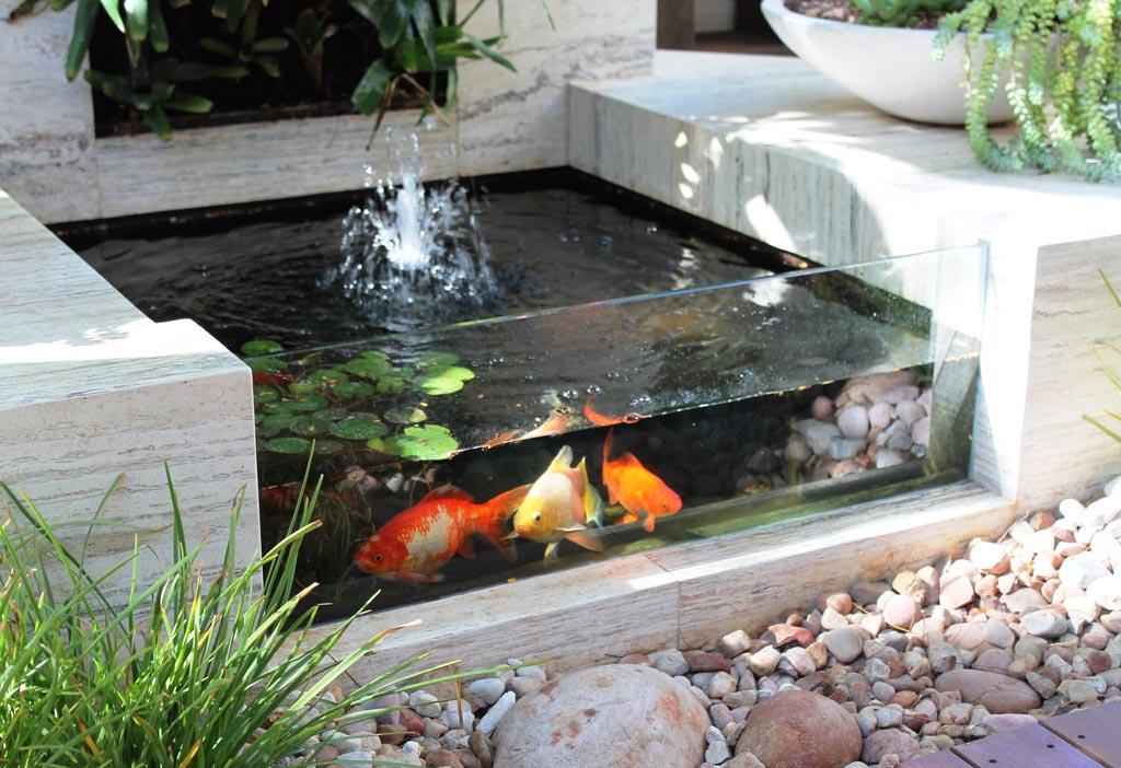 Garden Fish Pond Design