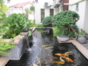 Garden Fish Ponds Designs