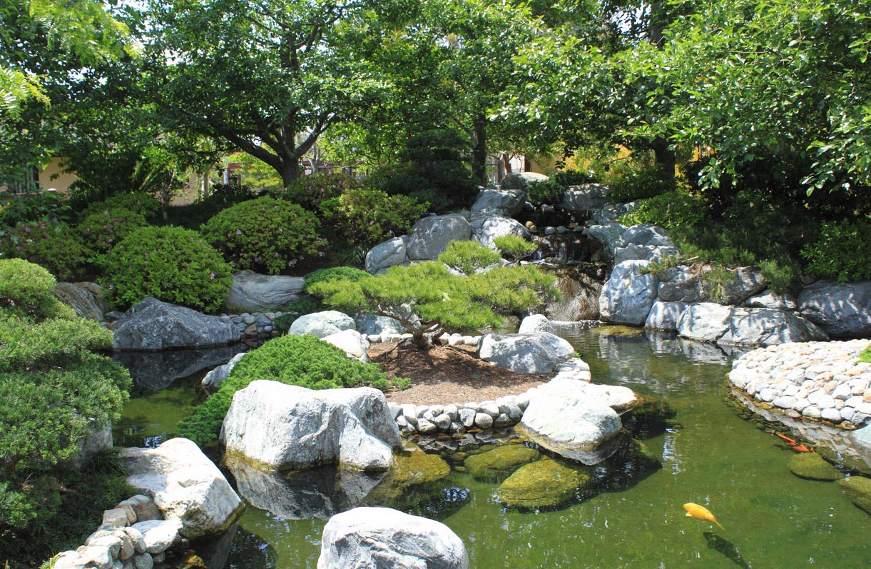 Japanese Fish Ponds Gardens