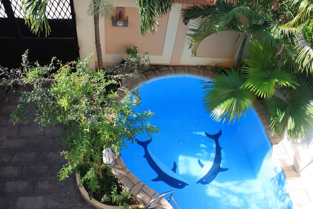Pictures of Swimming Pools in Small Backyards