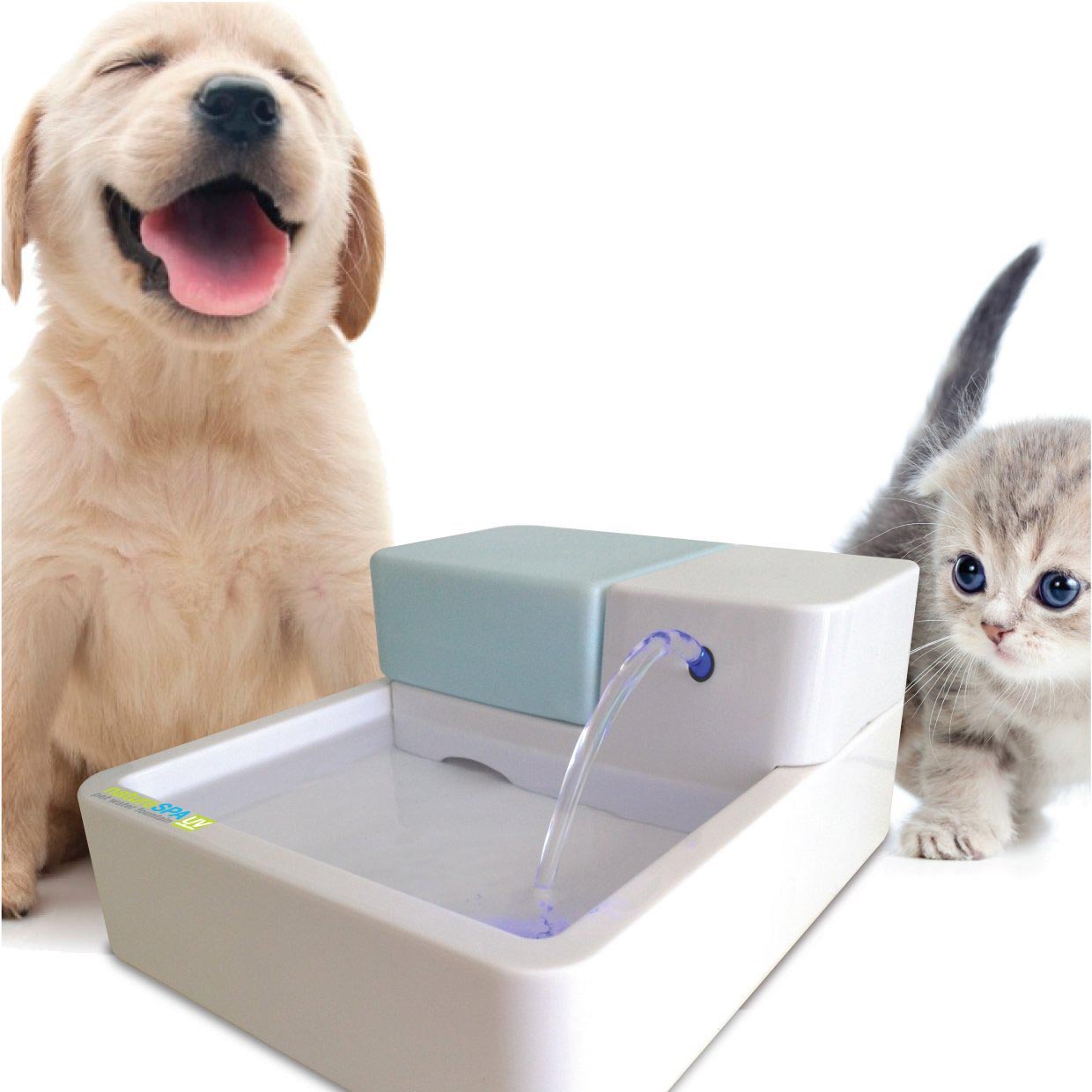 Small Pet Water Fountain